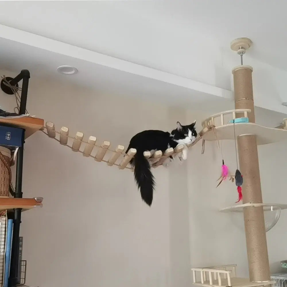 Cat Tree Wall Mounted Cat Climbing Bridge with Scratching Post and Cat Hammock Sisal Ladder for Kitten Playing  and Resting